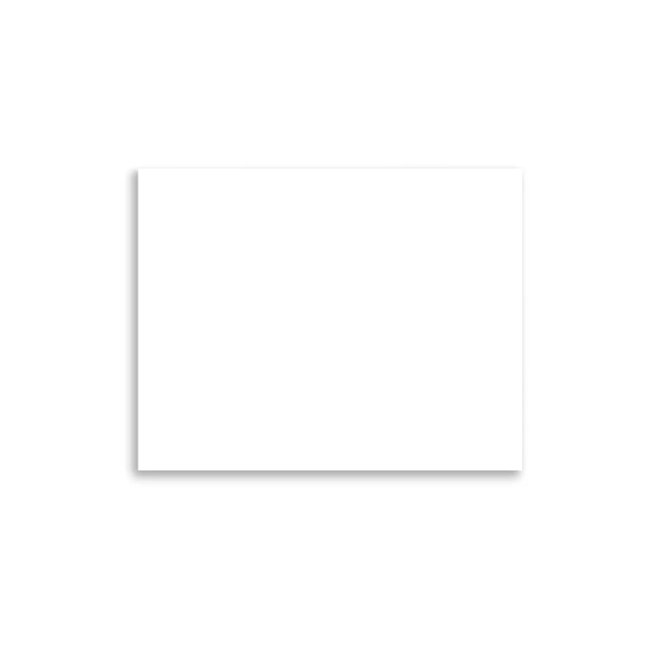 Premium Luster Photo Paper Poster (in)