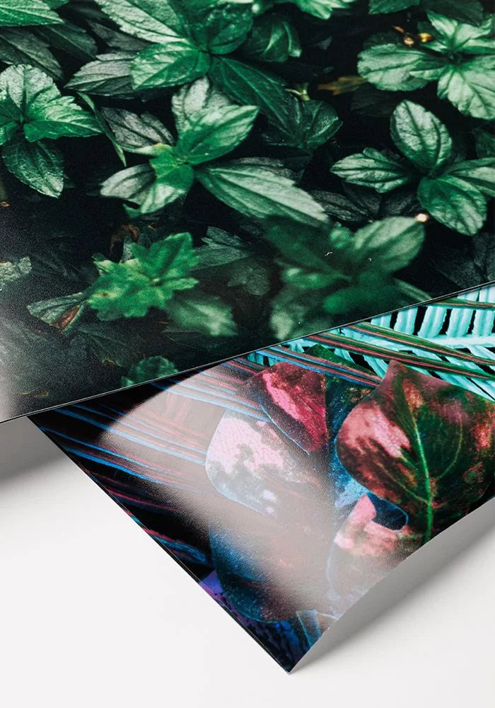 Premium Luster Photo Paper Poster (in)